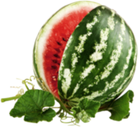 Watermelon - подобрява кръвообращението и антиоксидантна защита
